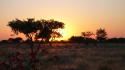 03 Abend in Namibia